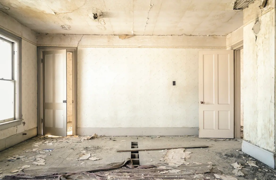 Waste disposal crew managing a cleanout project in Willington